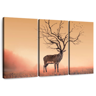 Cornes de cerf