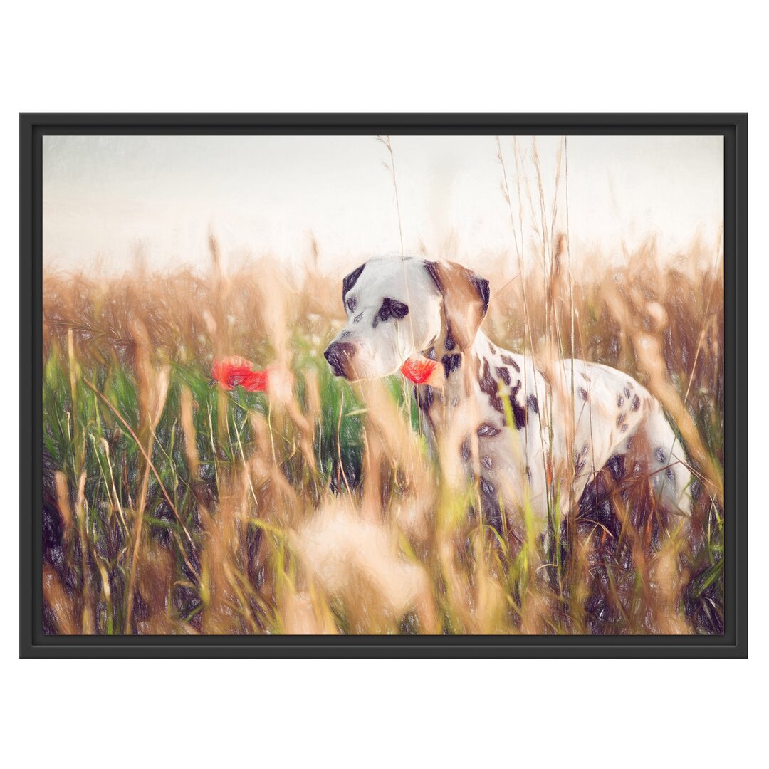 Gerahmtes Wandbild Neugieriger HundFeld