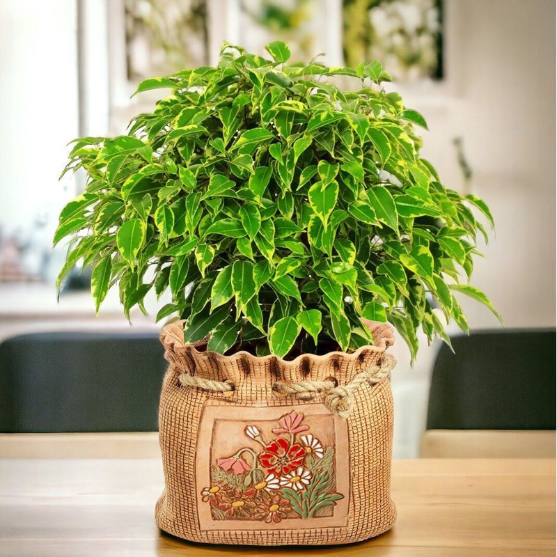 Cazeau Pot Planter