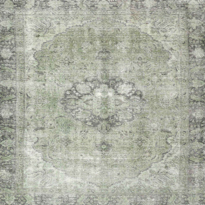 Aizhan Oriental Indoor Rug, Square 6'