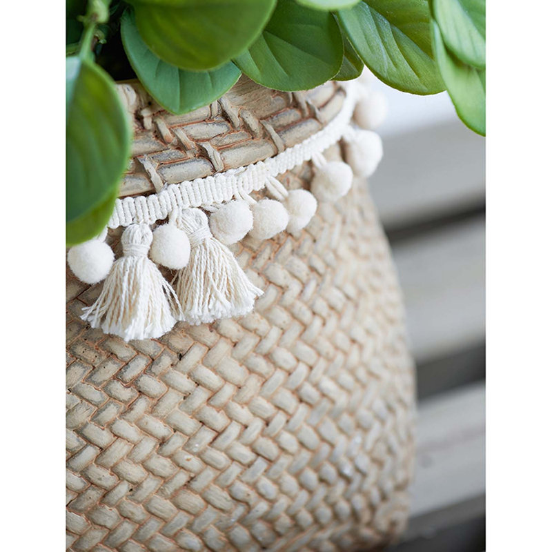 Pot à fleurs en ciment Susette, H 7,1 po x l 8,5 po x P 8,5 po