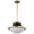 Vanek 1-Light Dimmable Steel Schoolhouse Pendant -1064094979-1064094981