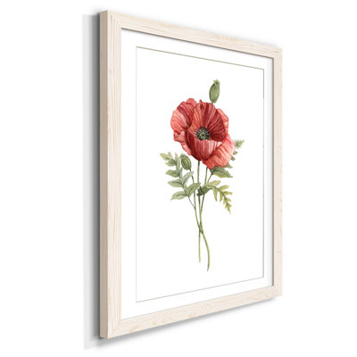 Scarlet Poppy - Reproduction d'art sur papier encadrée