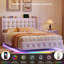 Upholstered Bed