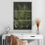 Harnek Fern Study-108516188