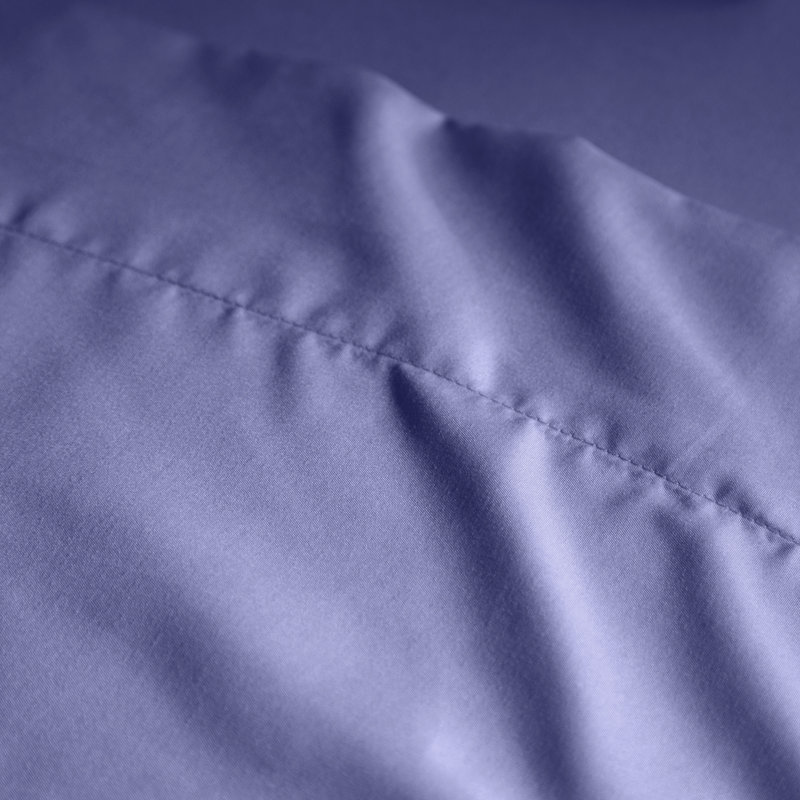 Soft Microfiber Sheet Set - Basics by Wayfair™, Royal Blue, Queen Sheet Set with 2 Pillowcases