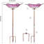 Bain d'oiseaux Omender Stake