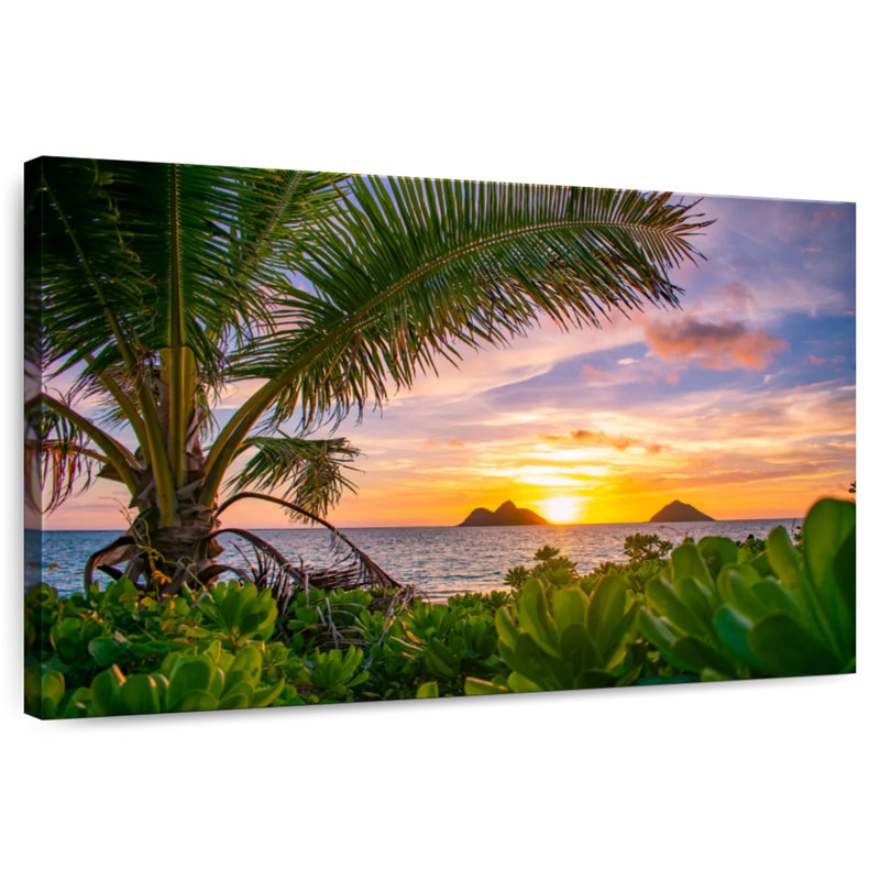 Lanikai Gillard Kailua, H 34 po x l 51 po