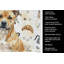 Serviette de cuisine Coffee Bar-1234934406