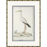 Bird Drawings, Circa 1777 Giclee Print by Robert J. Gordon