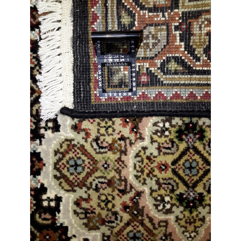 Omere Oriental Area Rug in Navy