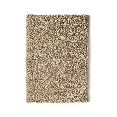 Danika Hand Woven Area Rug