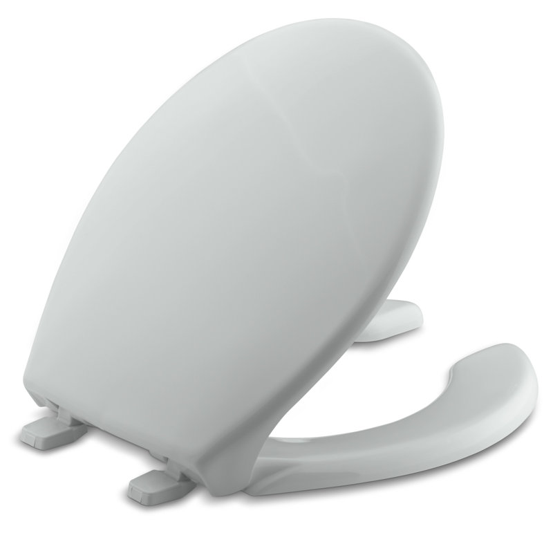 Lustra Round-Front Toilet Seat, Ice Grey