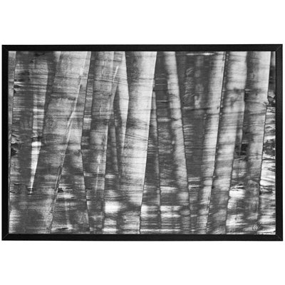 Single Picture Frame Print