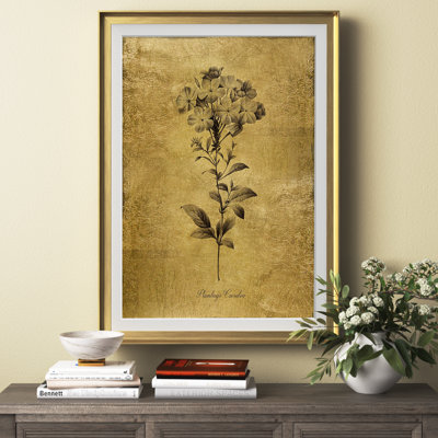 " Gold Sketch Botanical II " Painting Print