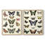 Impression encadrée Flutterbys I-Premium - prête à être accrochée - aucun clou requis - aucun clou requis-1140425539-1140425551
