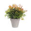 Pot Planter-37904911-127113571