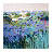 Complementary by Catherine Fitzgerald - Painting-566938018-566938029