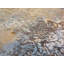 One-of-a-Kind 8'11" X 12'1" Area Rug