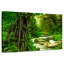 Alvord Enchanting Deep Rainforest-108913612