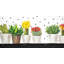 Petits cactus et plantes grasses - impression de nature morte romantique