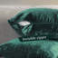 Shiny Velvet Pillow Cover-93563641-93563640-93563642