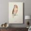Tawny Owl - galerie sur mesure-685543394