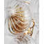 Talia 2 - Light Flush Mounted Sconce-2136862107