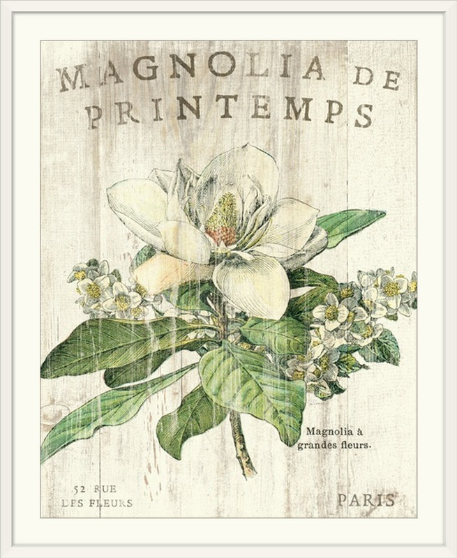 « magnolia de printemps » par sue schlabach, impression, Cadre blanc, H 23 po x l 20 po x P 1 po