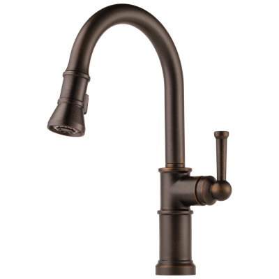 Artesso® Single Handle Pull-Down Kitchen Faucet
