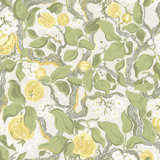 Wallpaper Double Roll