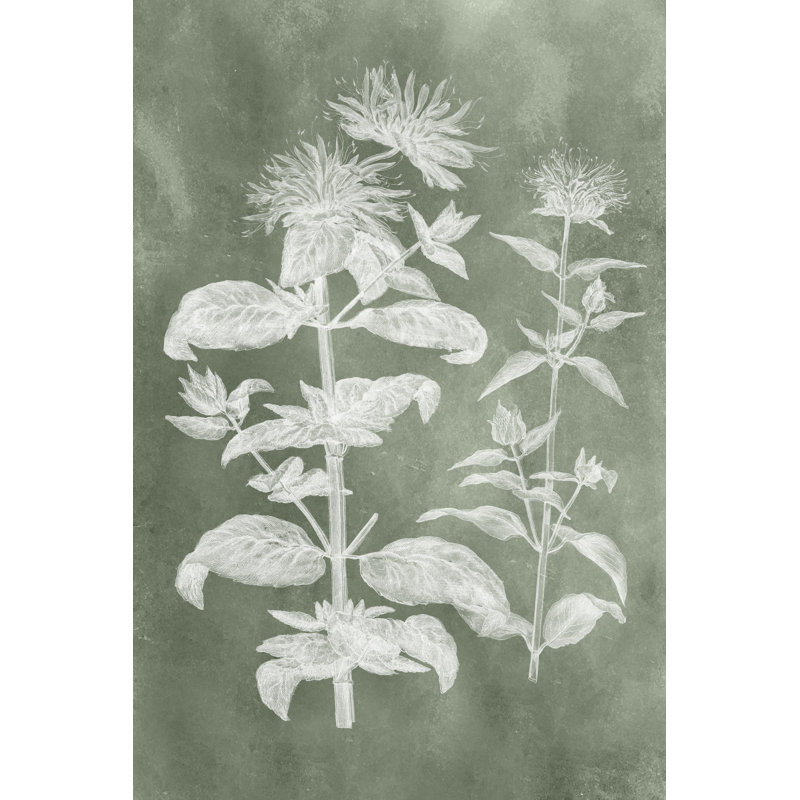 Sage Impressions III, H 18 po x l 12 po