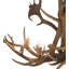 Rustic Lodge 8 - Light Chandelier