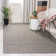 Adelmar Hand Woven Performance Solid Color Rug