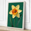 Daffodil Study Botanical - Wrapped Canvas-570533568-570533597