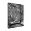 «Sparks Ln Ir» par Garv, reproduction de photo sur toile tendue-30363257