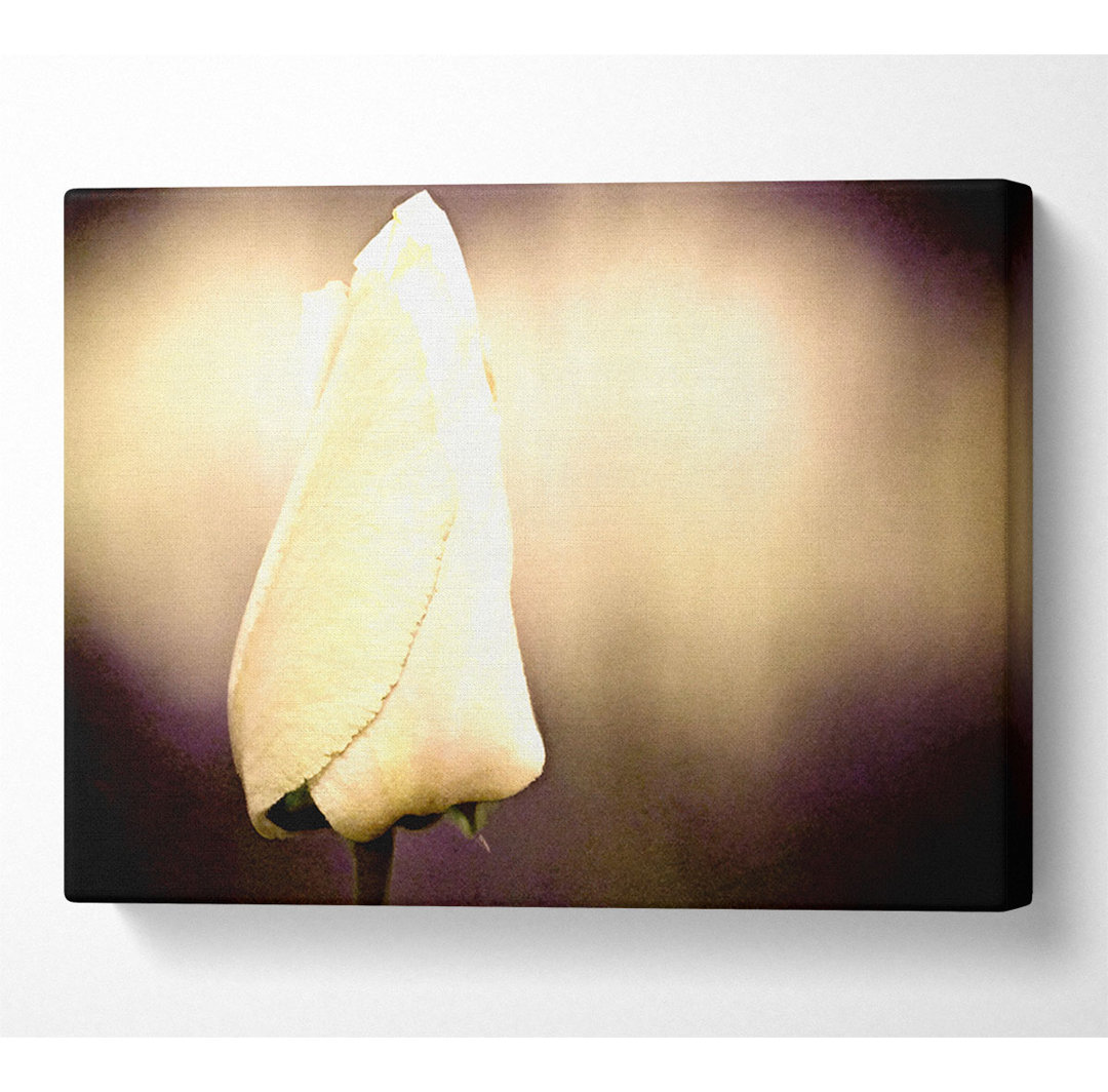 Tulip Vintage - Kunstdrucke auf Leinwand - Wrapped Canvas