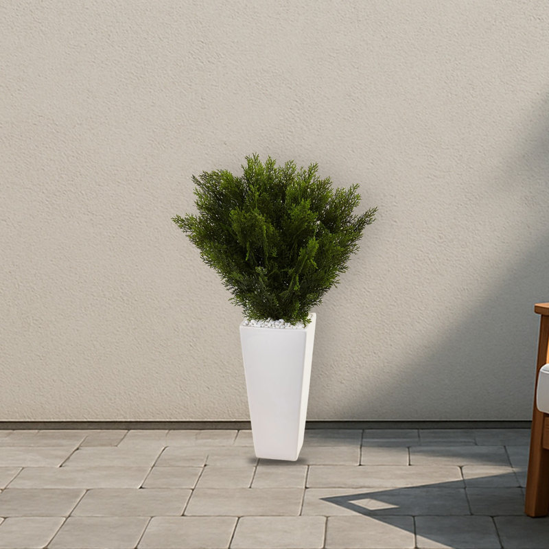 Cedar in White Tower Planter