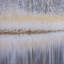 «Riverside Reflection - Forest» par Mikael Saîtson, reproduction d'art encadrée sous verre