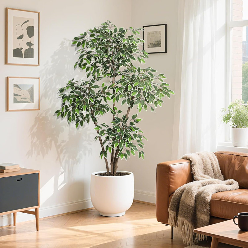 Primrue Artificial Ficus Tree, Tall Faux Floor Plant with White Tall  Planter -Fake Plants for Home Decor Indoor with 3 Natural Trunks &  White-Edged Leaves, Faux Greenery Tree for Garden Decor &