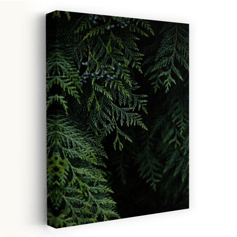 Print, 60.96cm H x 40.64cm W