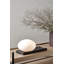 Dew Table/Wall Lamp-1731837543