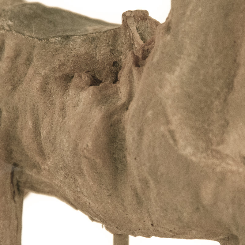 Napavine Animals Figurines & Sculptures