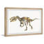 Rory Tyrant Lizard Skeleton - Single Picture Frame Painting-37753594