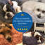 Orthopedic Pet Bed-59117801-59117804