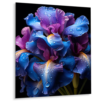 " Purple Blue Iridescent Irises "