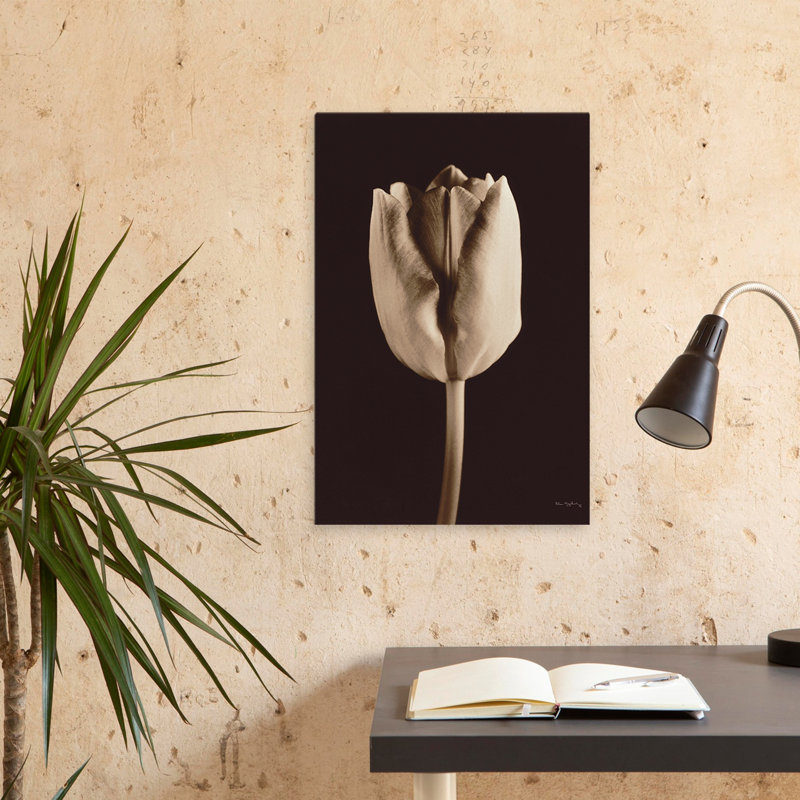 Tulipe moderne et contemporaine, H 24 po x l 16 po