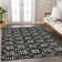  Maliana Area Rug