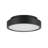 Patrol Ceiling Mount, 15W, Black Finish