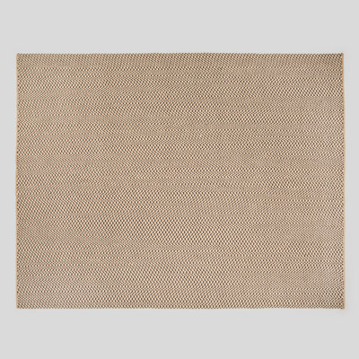 Outdoor Area Rug in Tan